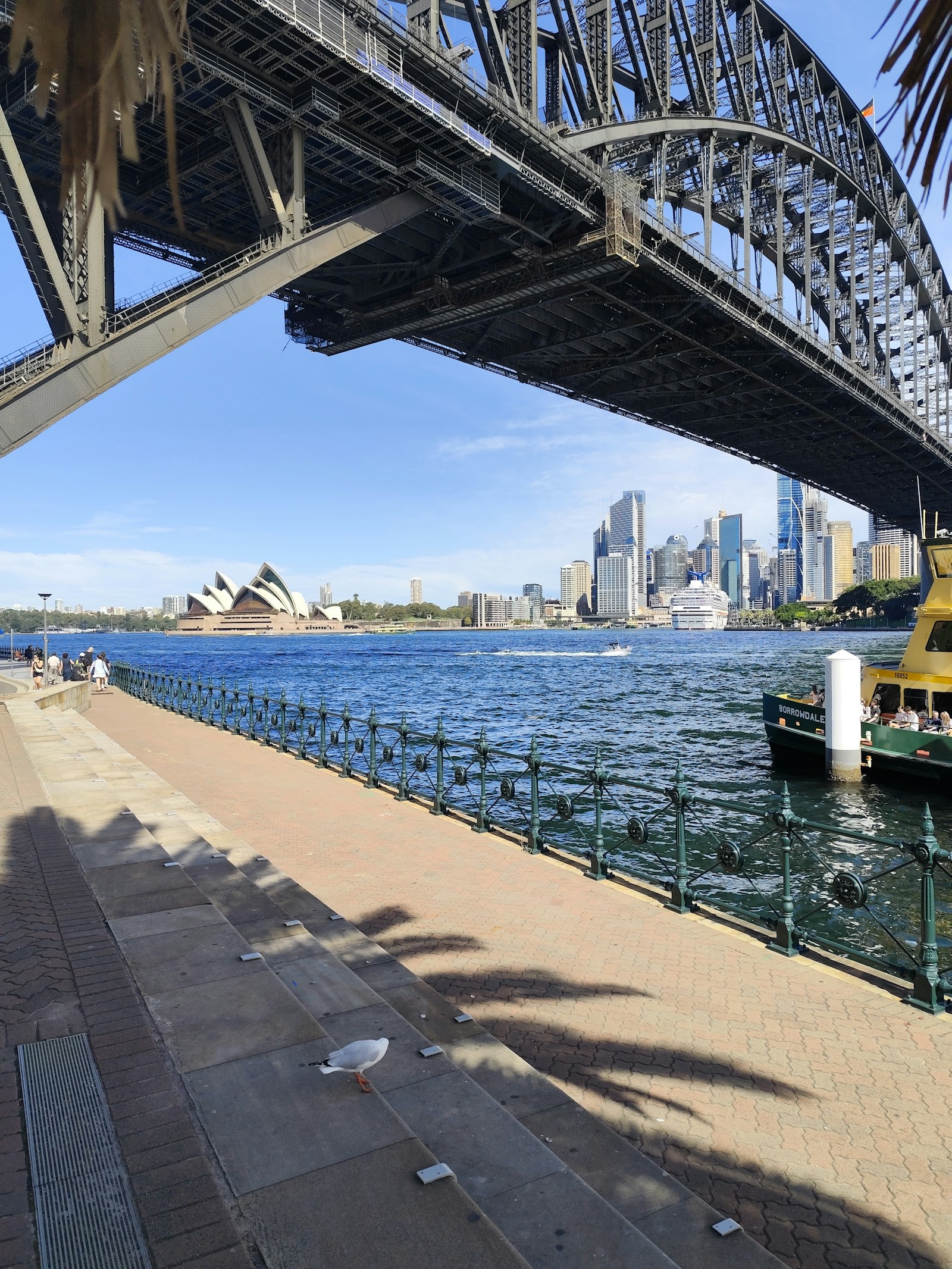 Sydney harbour skyline